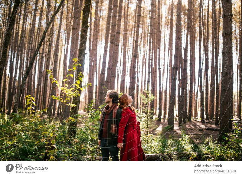 Young couple holding hands in autumn forest in Canada traveler adventure season explore canada walk path woods vacation nature relationship together dark