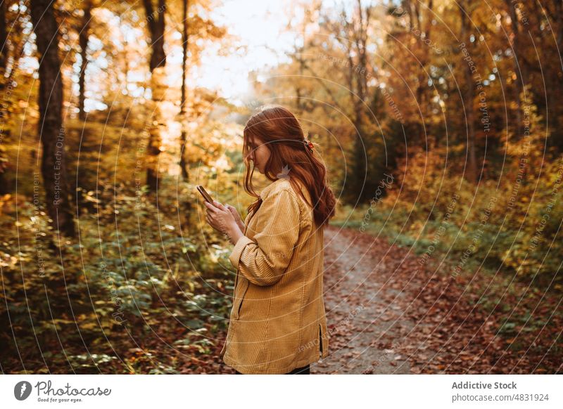 Woman standing browsing on mobile phone in autumn forest woman tree smartphone outerwear positive female nature hike gadget woodland redhead season fall