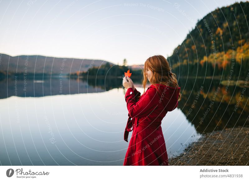 Elegant lady holding red leaf on lake shore on autumn day woman maple forest nature style mountain fall canada tourist park female young long hair coat feminine