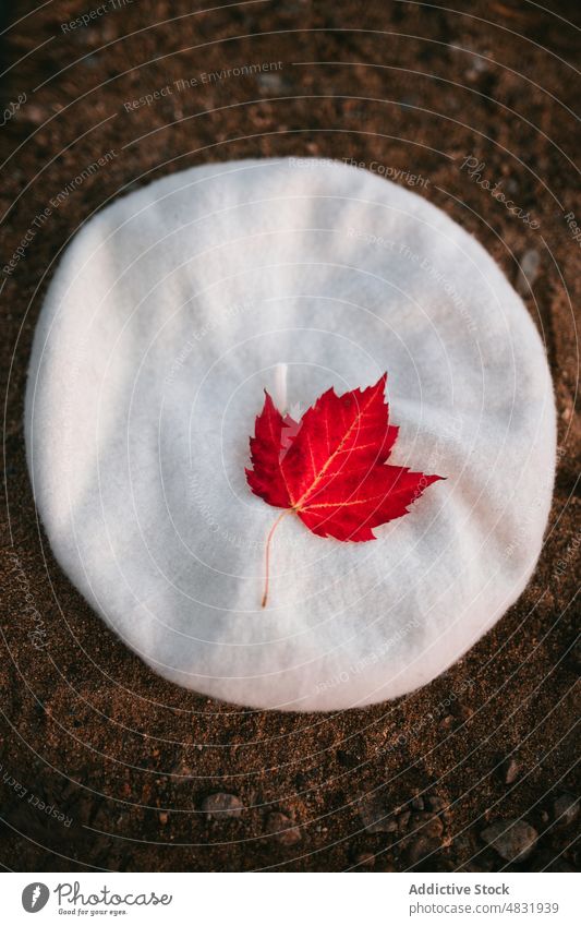 Red leaf on white beret placed on sandy shore maple autumn red color canada flag concept nature style fall season plant foliage botany flora environment shape