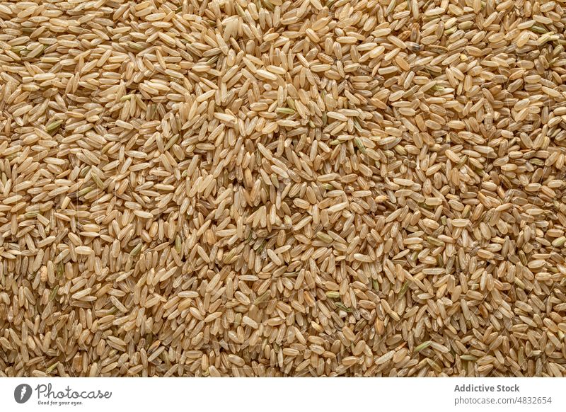 Raw wholewheat rice grain food various assorted spike agriculture dried natural ingredient organic dry healthy uncooked seed nutrition heap cuisine cereal bunch