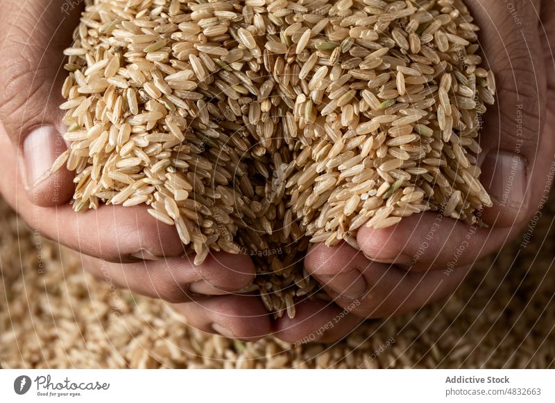 Raw wholewheat rice grain food various assorted hands holding body part agriculture dried natural ingredient organic dry healthy uncooked seed nutrition heap