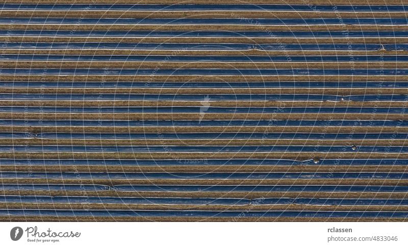 Asparagus varnish with asparagus plants (Asparagus officinalis) under a foil that is supposed to heat the soil and cause an early harvest, vertical aerial view of the asparagus varnish made with drone
