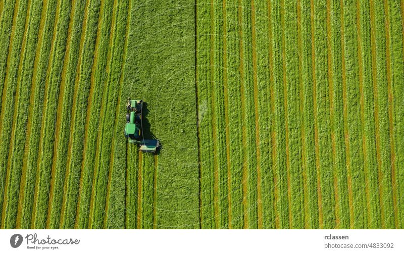 Harvesting hay in summer. Combine harvester of an agricultural machine collects ripe grass on the field. View from above. agriculture aerial drone meadow autumn