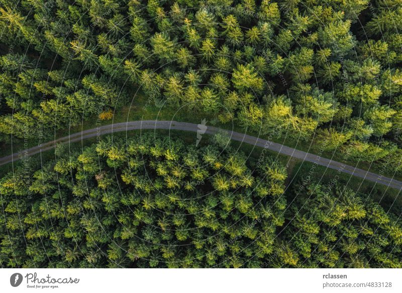 Curved path in the forest view from a drone road aerial eye curve landscape nature curvy adventure green country birdseye car asphalt grass natural outdoor