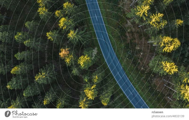 Curved aerial road from a drone forest view eye curve landscape nature curvy adventure green country birdseye car asphalt grass natural outdoor plant rural