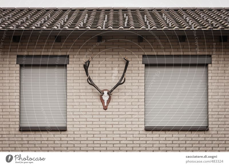 Purely a matter of taste Detached house Wall (barrier) Wall (building) Window Roof Eaves Roller shutter Souvenir Collector's item Antlers Kitsch Brown Success