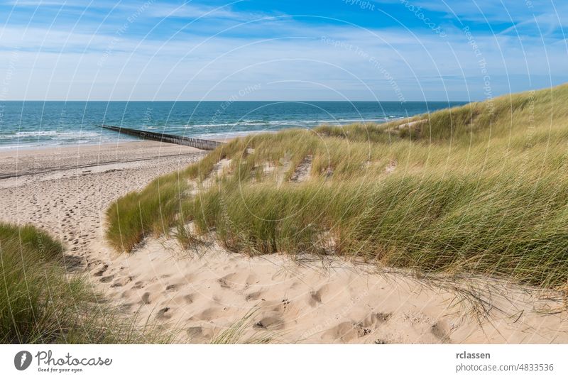Beautiful sand dunes with ocean on the North Sea coast in Renesse, Zeeland, Holland domburg netherlands zeeland holland dutch europe sylt sea beach holidays