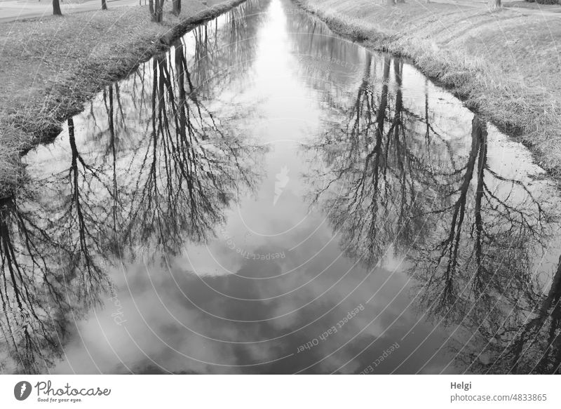 upside down world - reflection of trees, sky and clouds in a small channel Channel Water Waterway Tree Reflection Sky Clouds Spring Bleak Monochrome Deserted