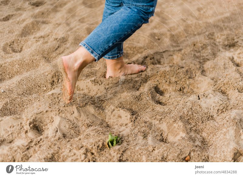 Barefoot in the sand Beach Sand Wet Rain Legs Feet Toes Summer Jeans Woman Going Footprint Human being Walking Tracks Relaxation To go for a walk Sandy beach