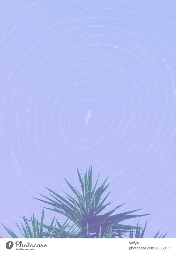 Abstract botanical background with palm tree against the skies very peri color year 2022 purple blue hue trendy design fashion leaf green plant texture pattern