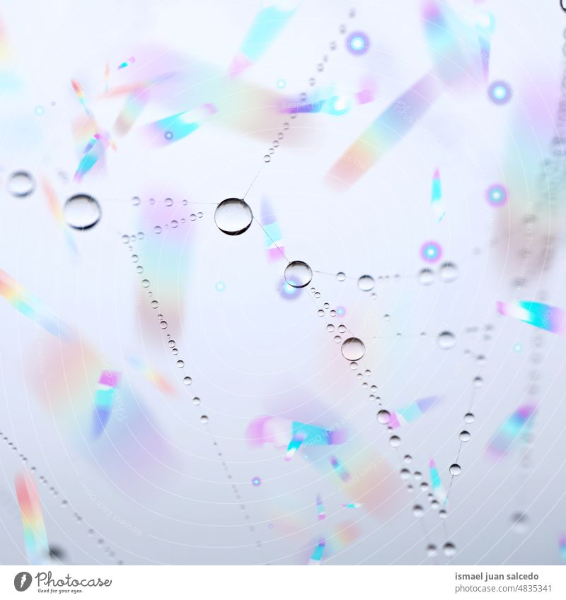 drops on the spider web in rainy season net spiderweb nature raindrop droplet bright shiny outdoors abstract textured background water wet minimal fragility