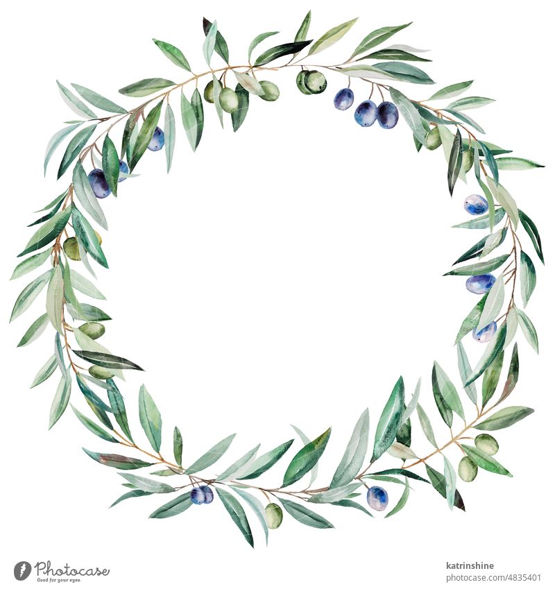 Watercolor wreath made of olive branches with blue and green fruits and leaves illustration Botanical Decoration Element Foliage Hand drawn Holiday Isolated