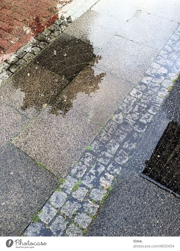 UrbanNature HB | Spiegelcity III Puddle reflection Tree Cobblestones urban Water Wet Damp Boundary off Experimental Twisted World Concrete slabs