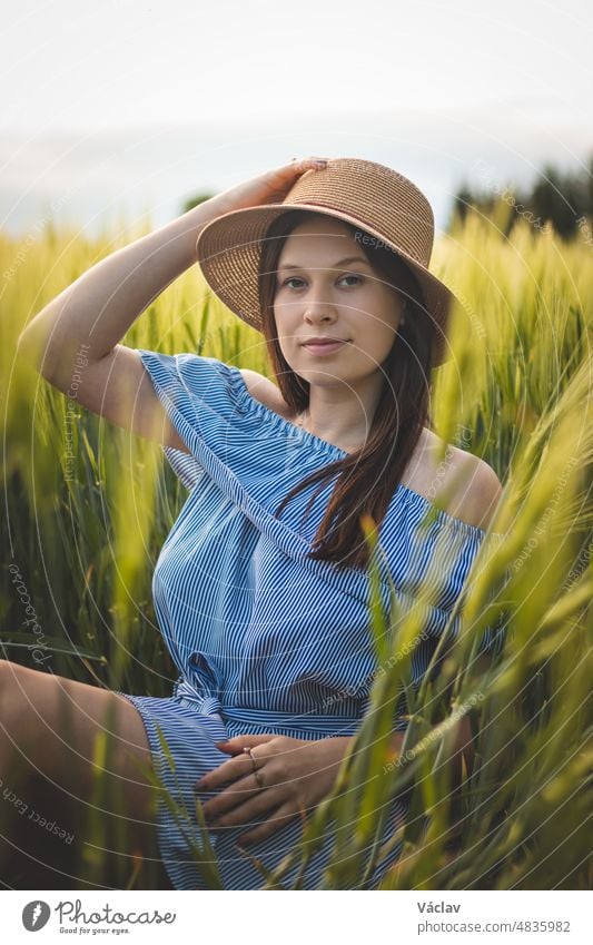 Breathtaking candid portrait of a brunette aged 20-24 sitting in a beautiful blue dress in a cornfield, smiling naturally. Fashion vintage style. Natural beauty of a brown haired European woman