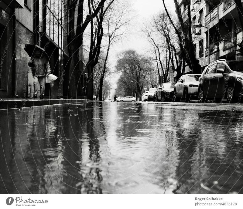 A rainy day in the streets backlight autumn pedestrians Black and white Light Shadow White Contrast Street Reflective Wet Umbrella Rainy streets Flooding Water