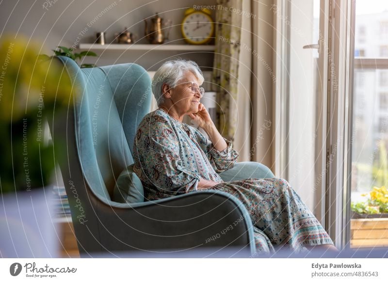 Elderly woman sitting in an armchair in her home senior adult older aged portrait person casual leisure lifestyle pensioner caucasian retired people mature