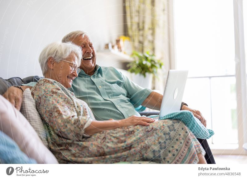 Happy senior couple using laptop at home senior adult older aged portrait person casual leisure lifestyle pensioner caucasian retired people mature retirement