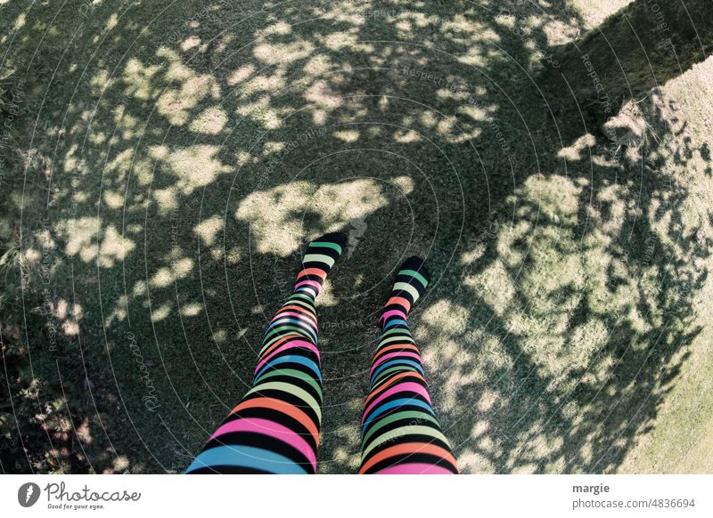 A girl with colorful striped stockings stands on the shadow of a tree Girl Woman Stockings Shadow Legs Striped pantyhose Tree Feet Tights striped tights
