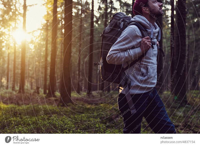 Young man walking in a forest and looking around, nature and exploration concept image landscape spring sun sunlight tree summer needlewood idyllic environment