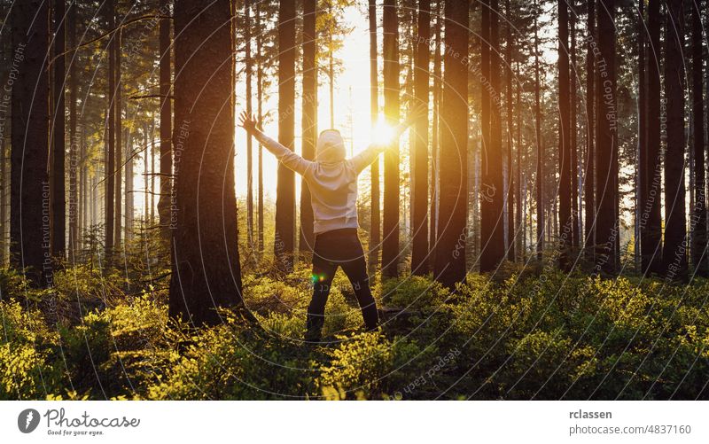 Young man raised hands stand in forrest and enjoys nature and sunlight forest landscape spring tree summer needlewood idyllic environment sunset trunk sunshine
