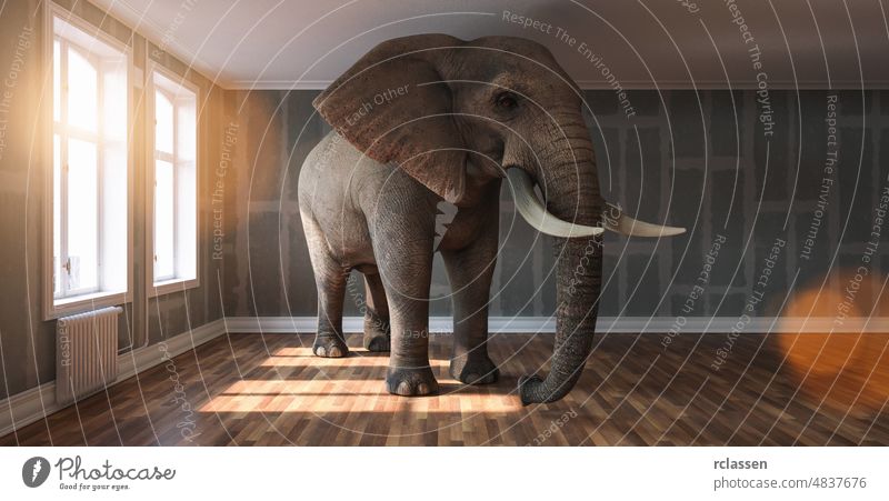 Big elephant calm in a apartment with Flattened drywall walls as a funny lack of space and pet concept image room office architecture home big buildings humor