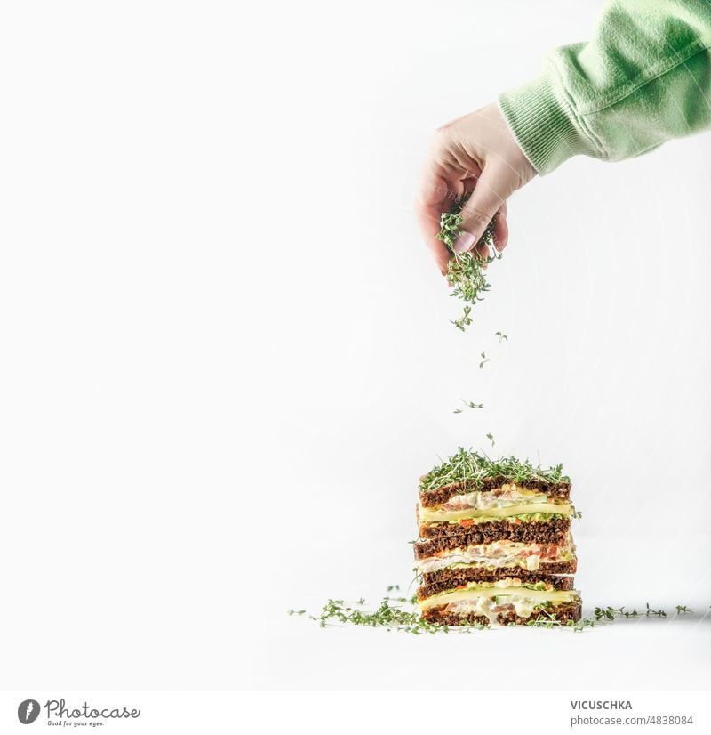 Woman hand sprinkles fresh cress sprouts above layered club sandwich at white background woman preparing healthy lunch front view tasty food bread cheese home
