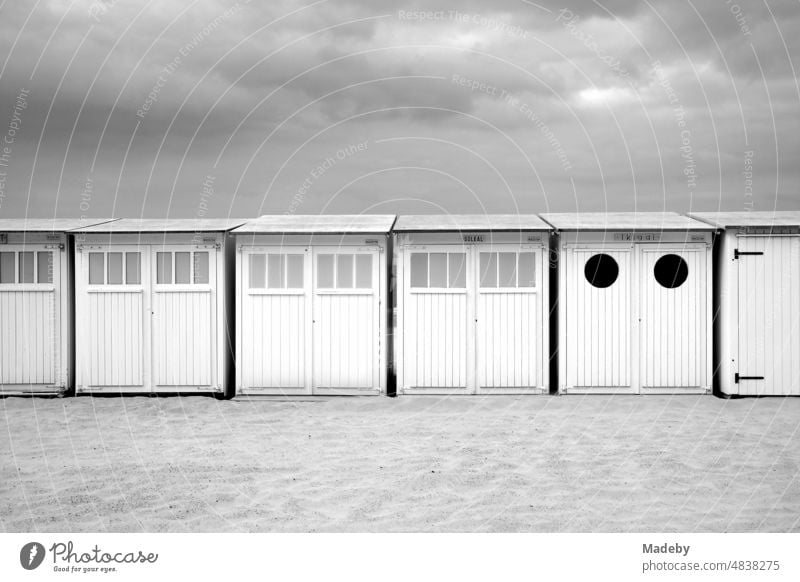Traditional white beach cabins with cloudy sky on the beach at Knokke-Heist on the North Sea near Bruges in West Flanders in Belgium photographed in classic black and white