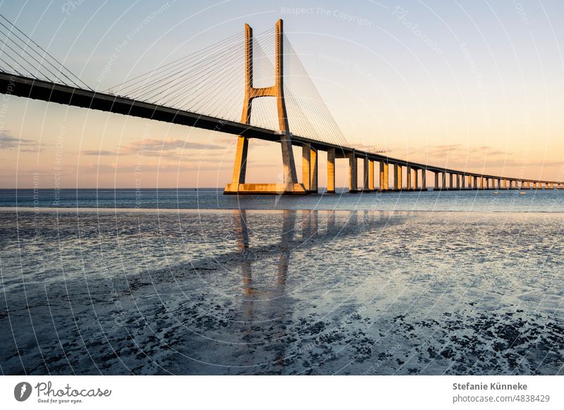 Bridge in golden light Lisbon Sunset Golden Hour Calm Peaceful silent Idyll natural-coloured Moody power location Landscape Dream Relaxation Beautiful weather