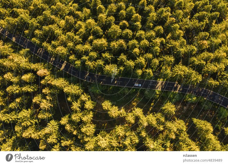 Aerial view of summer forest with a car on the road. Captured from above with a drone aerial eye curve landscape nature curvy adventure green country birdseye
