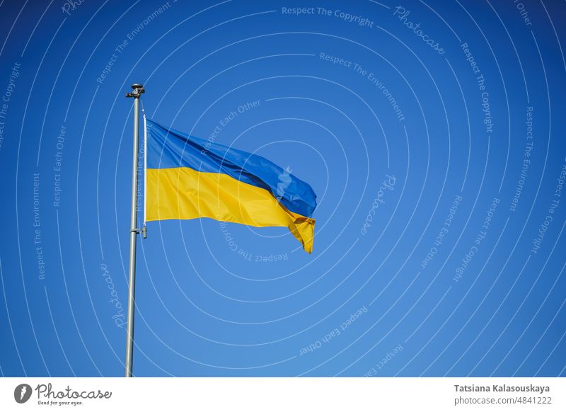 Yellow-blue flag of Ukraine in the wind against the background of a cloudless sky ukraine ukrainian country symbol sign europe yellow wave pole national