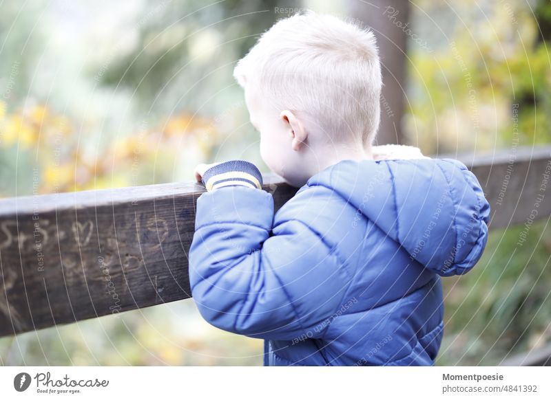 blonde boy with blue jacket in nature search Jacket Boy (child) Nature out Forest Playing Discover watch Observe Education Child Kindergarten bub Blonde Small