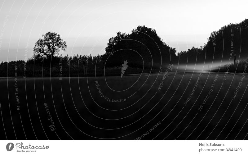 fog rising on the road, late summer evening Latvia forest nature mist hase night night photography long exposure night shot asphalt road black and white