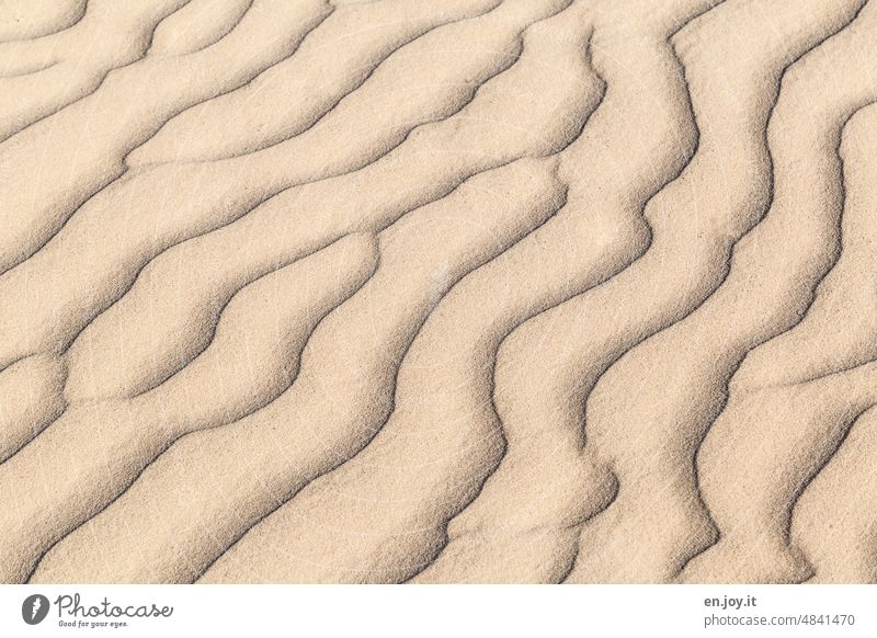 Structures in sand Sand Structures and shapes Desert Pattern Beach dune Sandy beach Deserted duene Sanddrift sandy