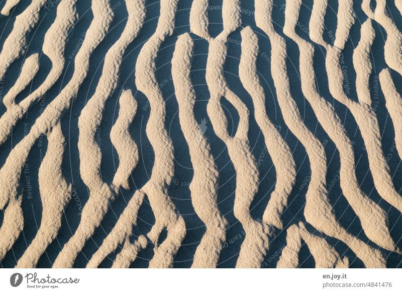 Structures in sand - light and shadow Sand Structures and shapes Desert Pattern Beach dune Sandy beach Deserted duene Sanddrift sandy Light and shadow