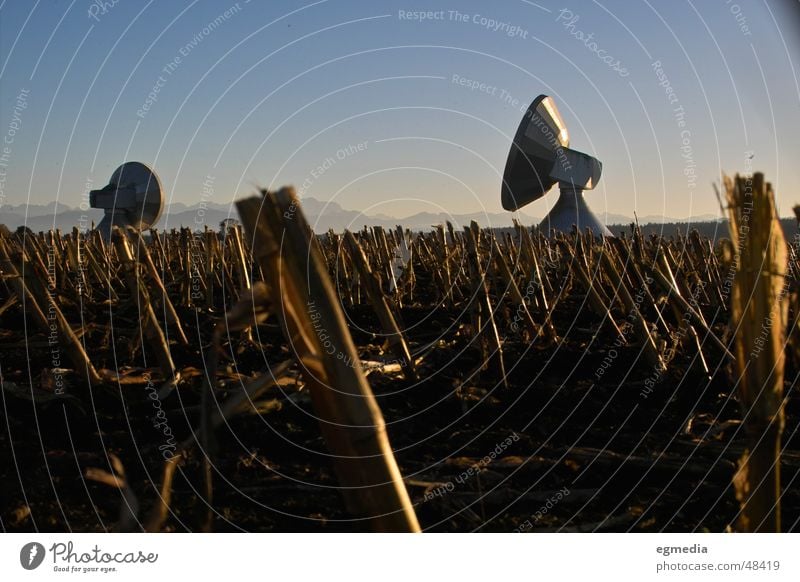 earth to all... Satellite Satellite dish Radio telescope Raisting Bavaria Radio technology Maize field Corn stubble Stopper Harvest Exterior shot Germany
