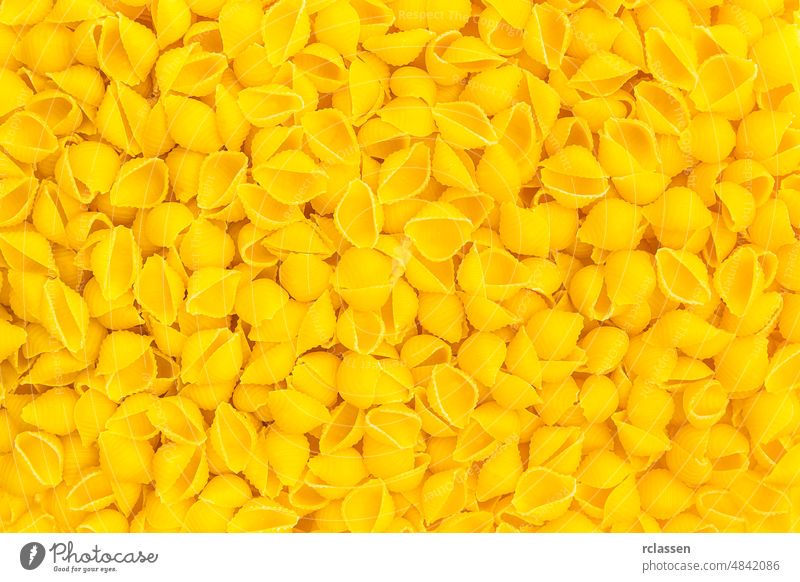 conchiglie pasta shells background texture diet Nutrition eat durum wheat Italian Italy carbohydrates food noodles vegetarian raw dough uncooked egg spaghetti