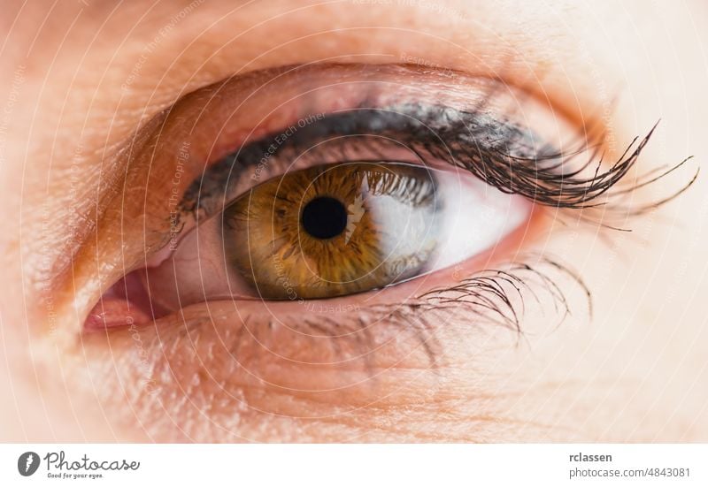 Macro image of woman eye focus optician think. eyeball iris macro look eyelash medical lens beautiful eyesight pupil watching eye image vision looking face