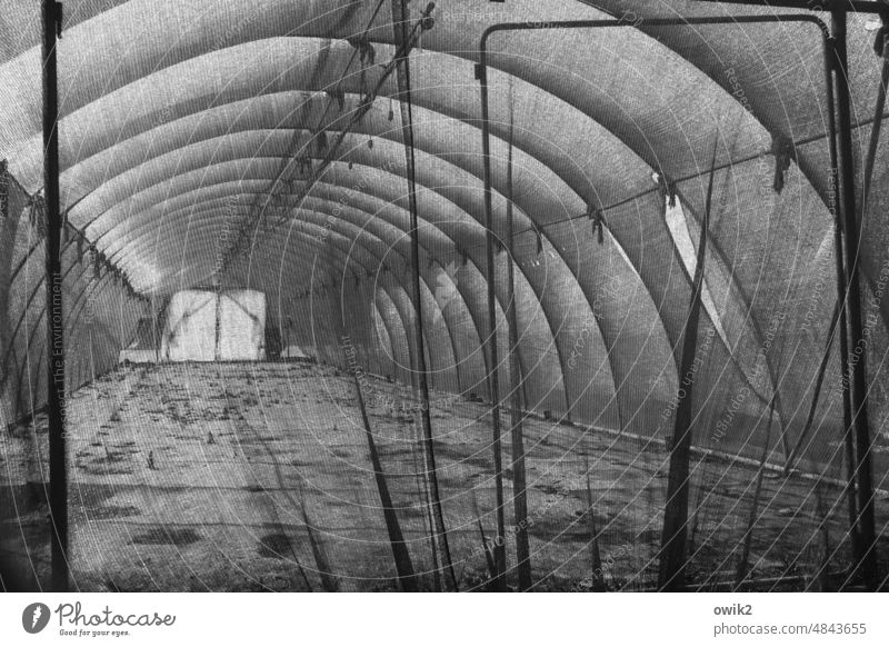 Cavity Greenhouse tube Curved flexed tunnel-like tunnelling Sunlight Pattern Covers (Construction) Detail Structures and shapes Storage area storage Vista Open