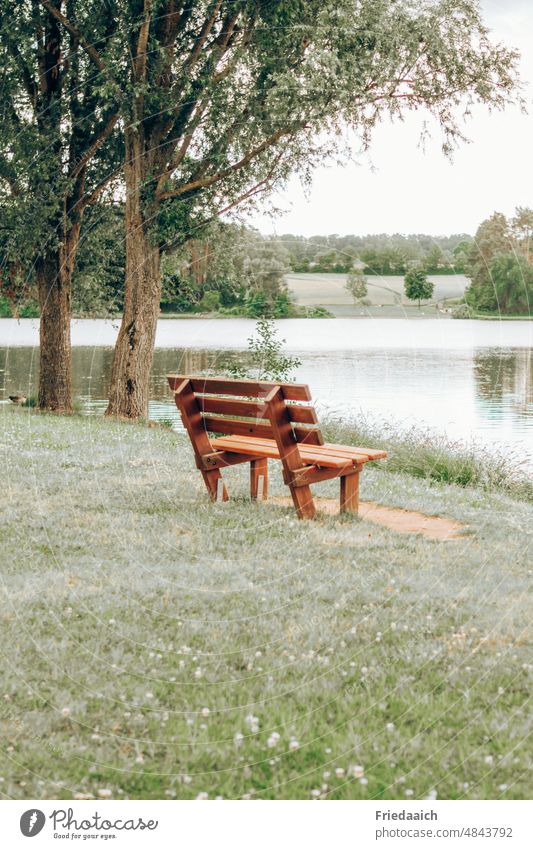 Rest bench on a lakeshore Lake Lakeside Bench rest playground To enjoy Landscape Nature Exterior shot Deserted Calm Relaxation Water Idyll Environment Tree