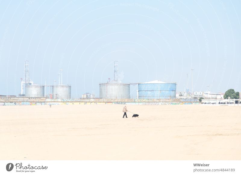 A man and his dog on the beach in front of the industrial plants in the background Beach far Man master Dog Pet stroll Sand Bright Industry Harbour Port City