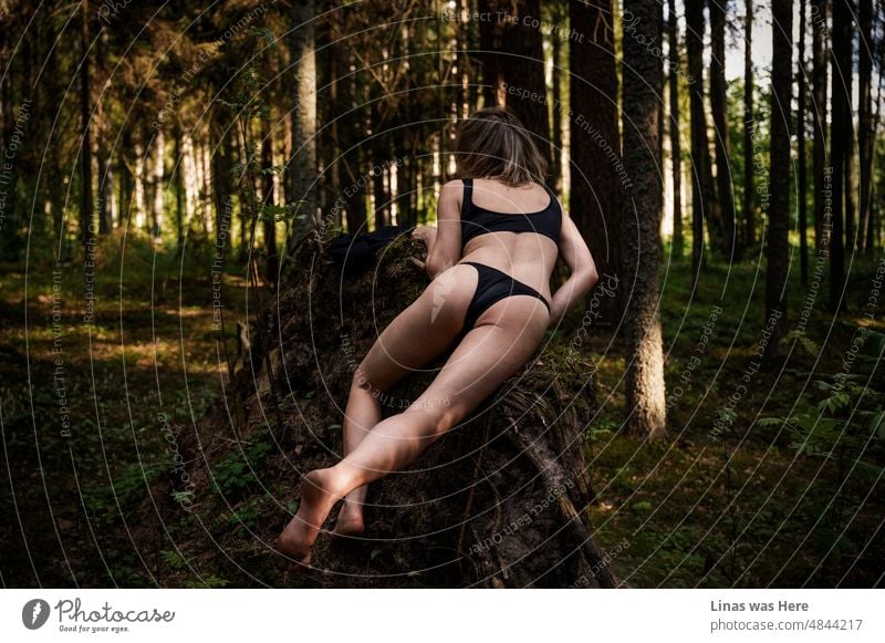 These wild woods are roamed with wild women. A gorgeous brunette lingerie model lookin’ good from the back. Being all free in a forest. Her black bikini is a perfect fit for this wilderness.