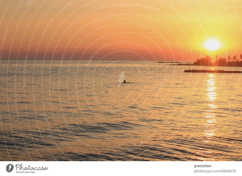 A man swims in the sea at sunset be afloat Ocean Small Large Sunset Wasssd Water Human being travel vacation