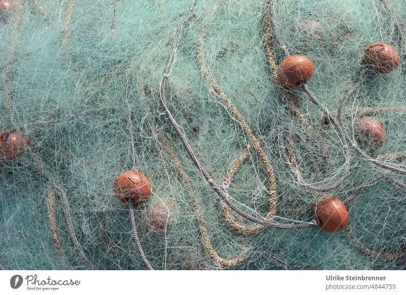 Delicate fishing net String Reticular Maritime Detail Pattern Harbour Fishing port Deserted Catch Rope Dew leash Structures and shapes Fishery Safety gear