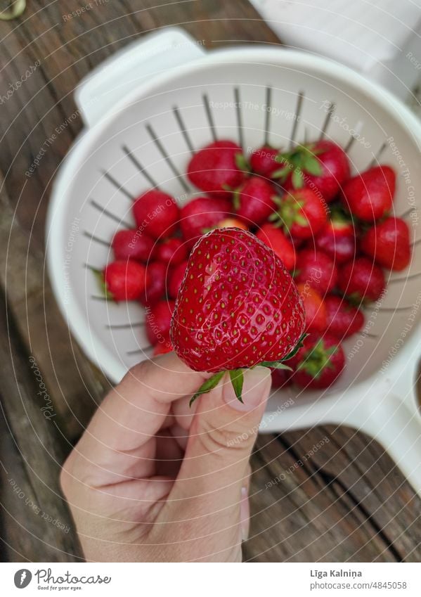 Hand holding strawberry Strawberries strawberries food red fruit fresh juicy delicious summer sweet healthy organic tasty background vegetarian nutrition