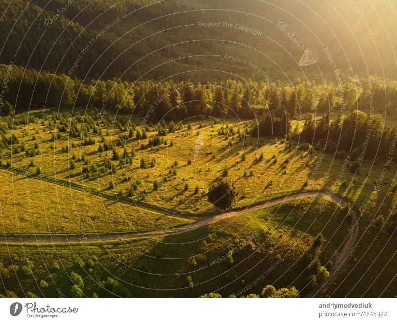 Aerial view of beautiful mountain Carpathians, Ukraine in sunlight. Drone filmed an landscape with coniferous and beech forests, around a winding serpentine road, copter aerial photo