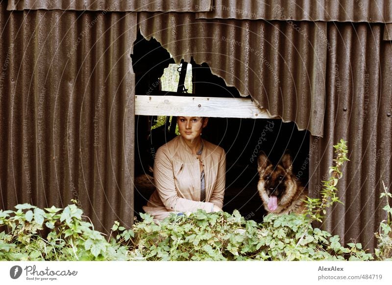 Look, a hiding place! - young woman with a German shepherd dog looking out of a hole in the shed Leisure and hobbies Playing Hunting Young woman