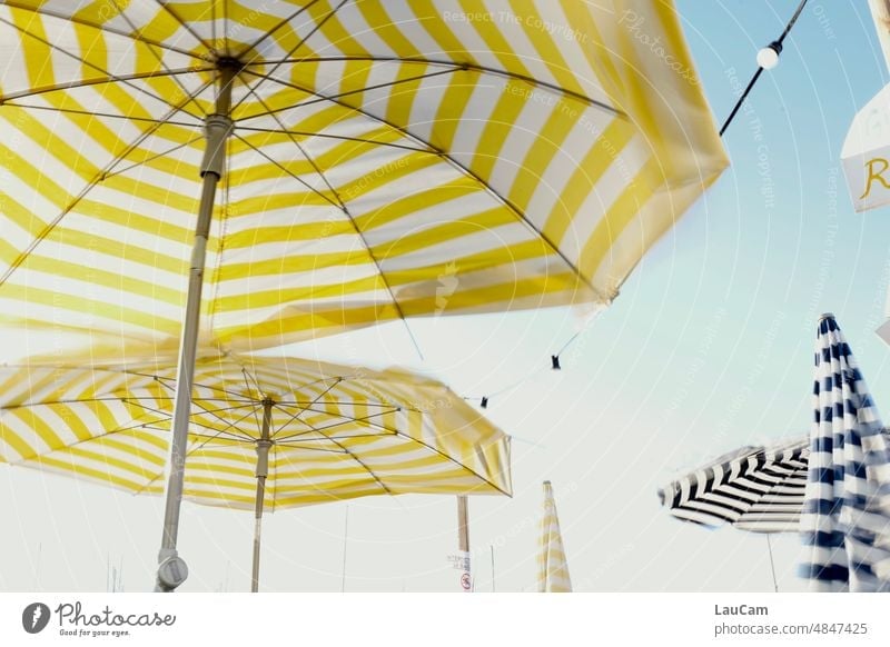 Summertime - striped parasols at work Striped Summer vacation Vacation & Travel Beautiful weather Sunshade Sunlight sun protection Sky Cloudless sky Relaxation