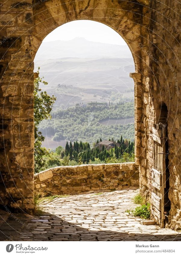 Tuscany Vacation & Travel Summer Summer vacation Nature Brown Moody Pienza Italy Archway Old Wall (barrier) Cypress Ochre Lanes & trails Gate Haze Colour photo