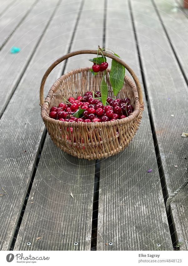 Delicious cherries from the garden in the basket -so tastes summer Mature Red Cherry Nature Food Healthy Harvest Garden organic Exterior shot